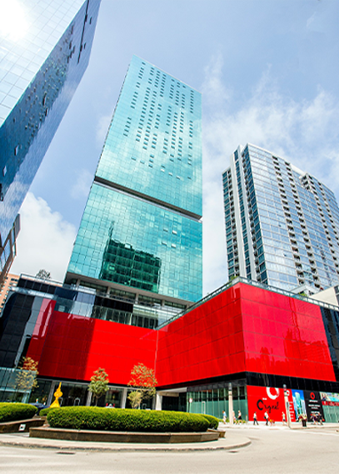 efficient execution through all phases of development